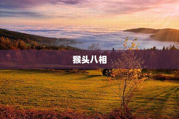猴头八相