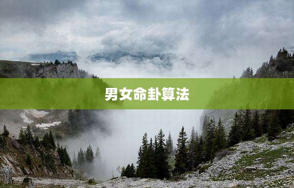 男女命卦算法