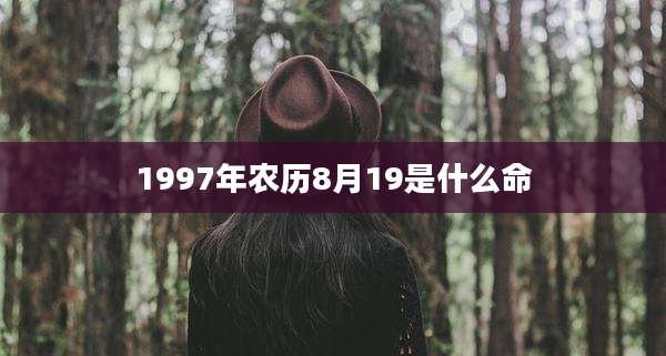 1997年农历8月19是什么命