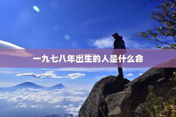 一九七八年出生的人是什么命