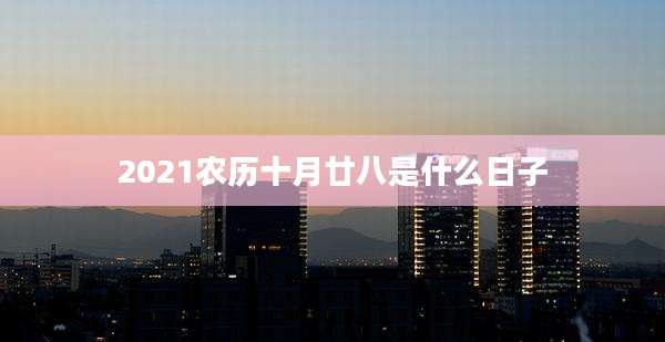2021农历十月廿八是什么日子
