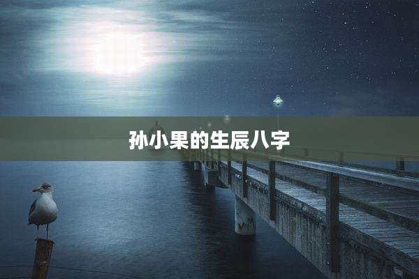 孙小果的生辰八字