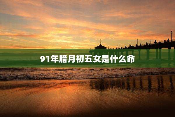 91年腊月初五女是什么命