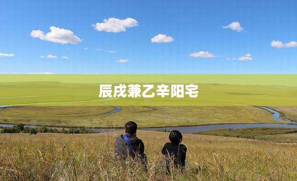 辰戌兼乙辛阳宅