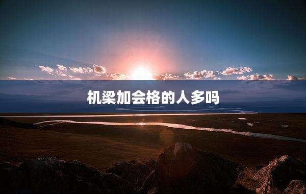 机梁加会格的人多吗