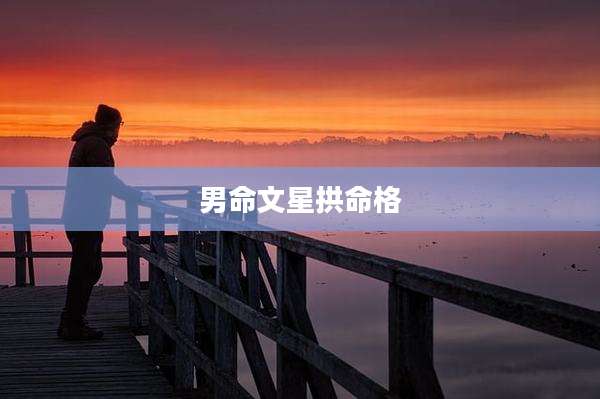 男命文星拱命格
