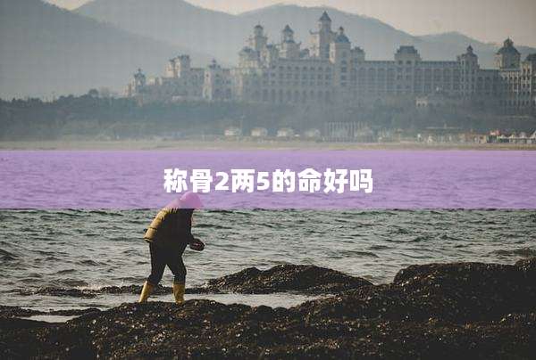 称骨2两5的命好吗