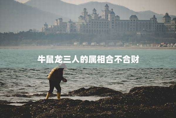 牛鼠龙三人的属相合不合财