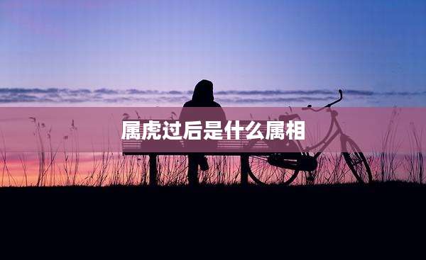 属虎过后是什么属相
