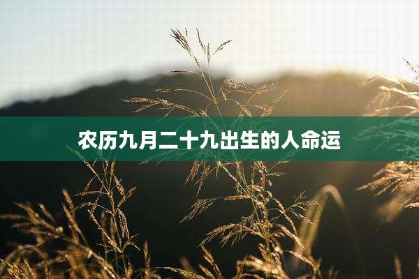 农历九月二十九出生的人命运