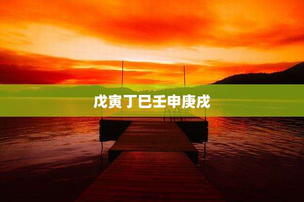 戊寅丁巳壬申庚戌