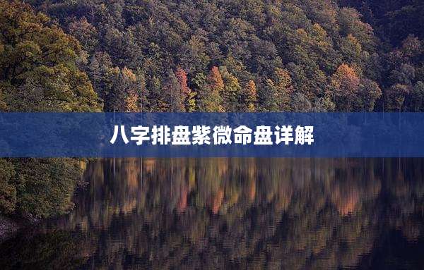 八字排盘紫微命盘详解