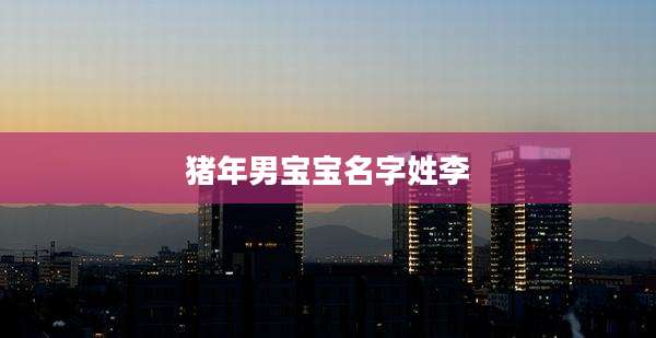 猪年男宝宝名字姓李