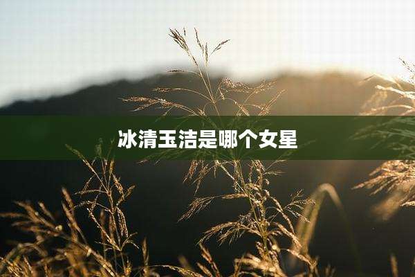 冰清玉洁是哪个女星