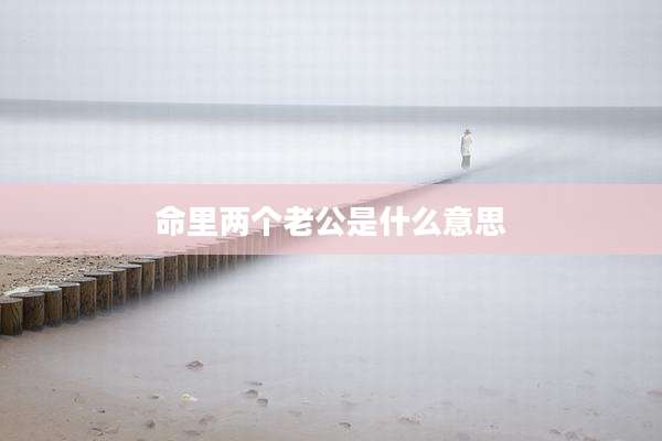 命里两个老公是什么意思