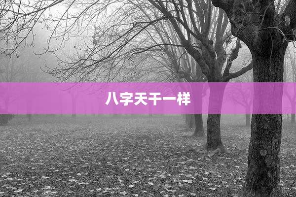 八字天干一样