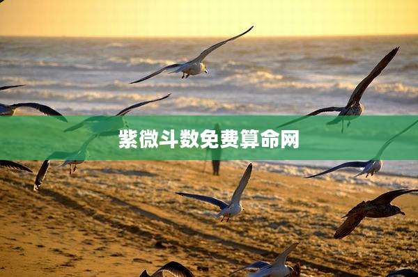 紫微斗数免费算命网