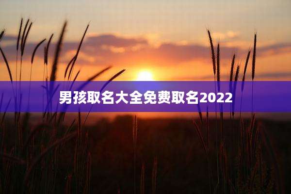 男孩取名大全免费取名2022