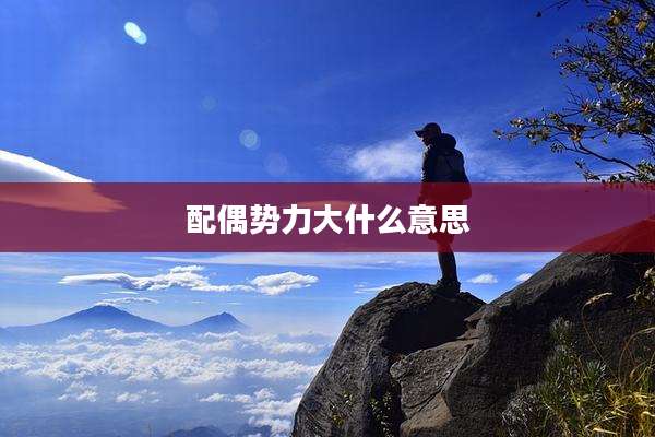 配偶势力大什么意思