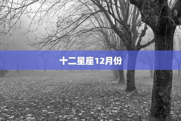 十二星座12月份