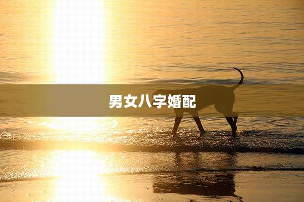 男女八字婚配