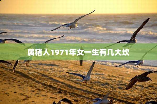 属猪人1971年女一生有几大坎
