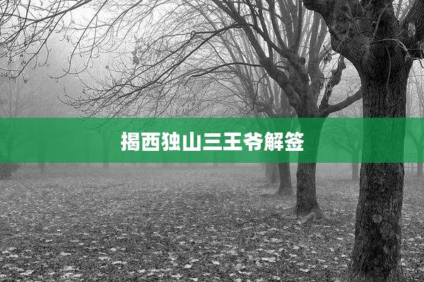 揭***山三王爷解签