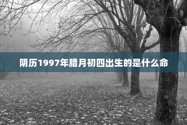阴历1997年腊月初四出生的是什么命