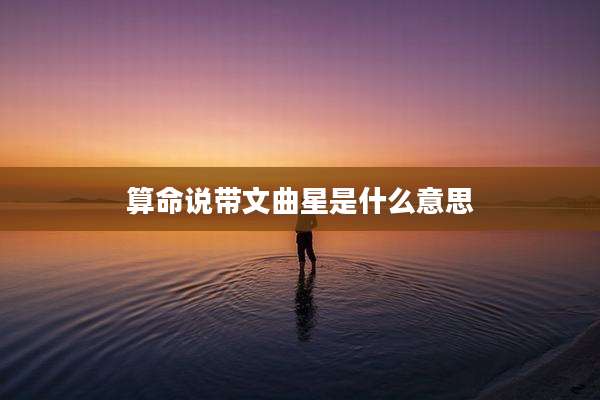 算命说带文曲星是什么意思