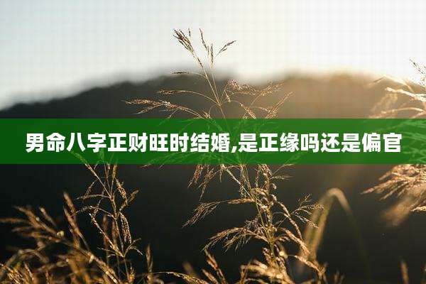 男命八字正财旺时结婚,是正缘吗还是偏官