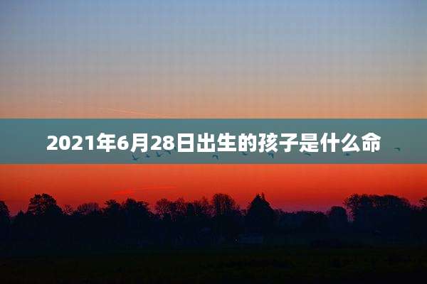 2021年6月28日出生的孩子是什么命