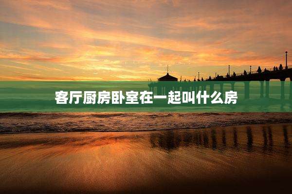客厅厨房卧室在一起叫什么房
