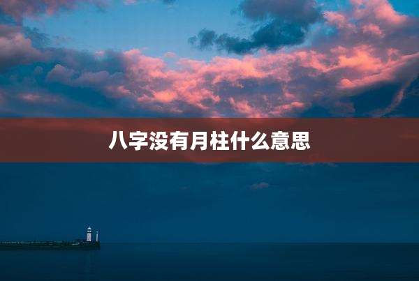 八字没有月柱什么意思