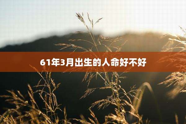 61年3月出生的人命好不好