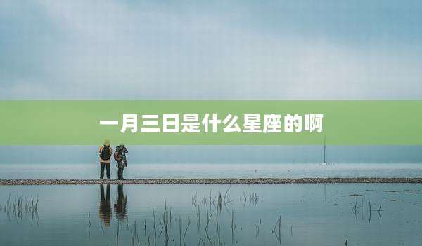 一月三日是什么星座的啊