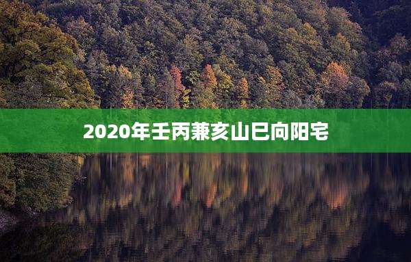 2020年壬丙兼亥山巳向阳宅