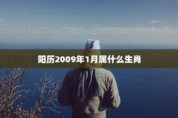 阳历2009年1月属什么生肖