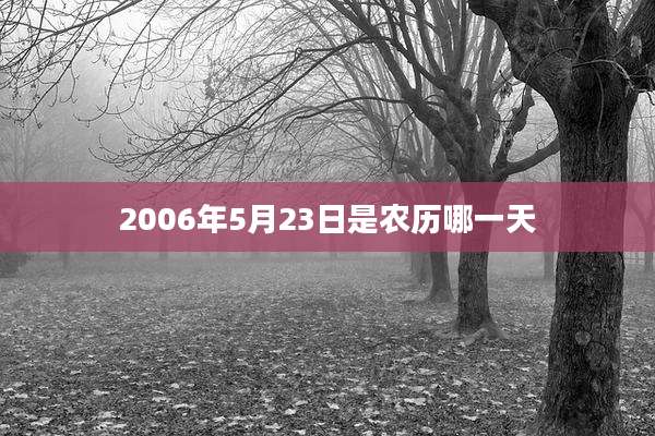 2006年5月23日是农历哪一天