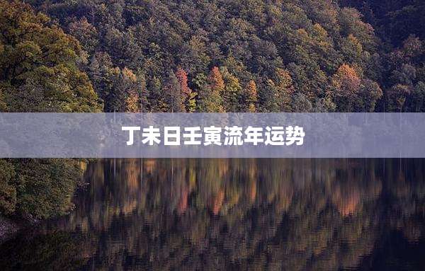 丁未日壬寅流年运势