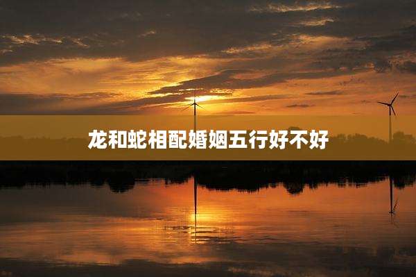 龙和蛇相配婚姻五行好不好