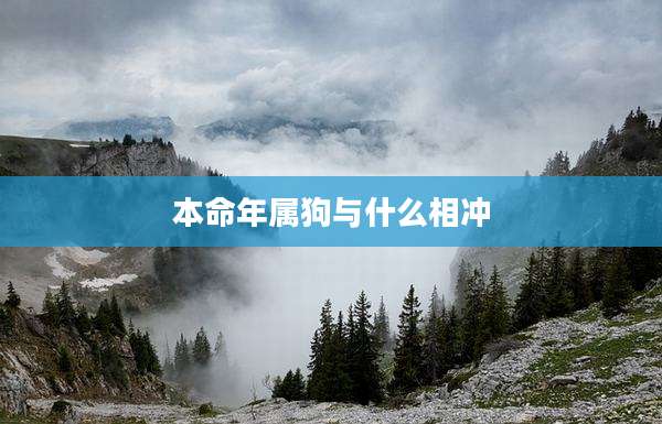 本命年属狗与什么相冲