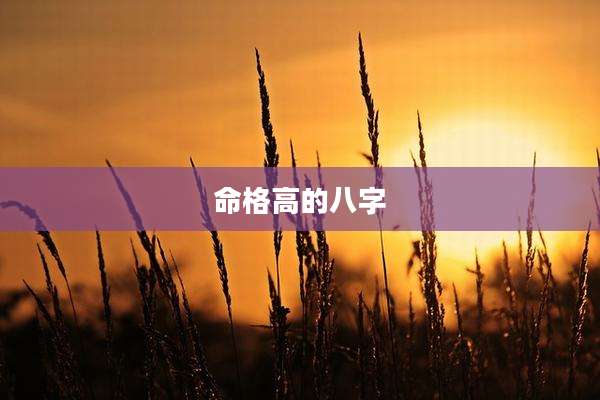 命格高的八字