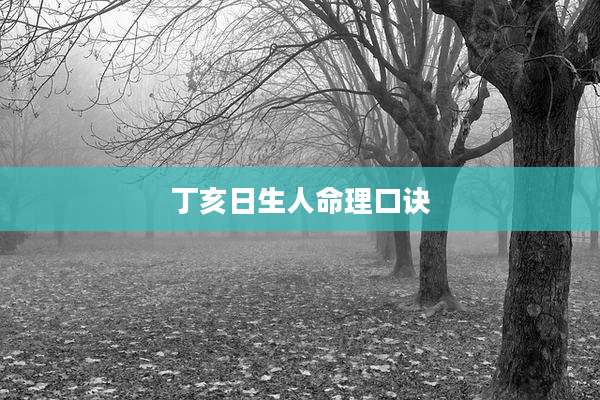 丁亥日生人命理口诀