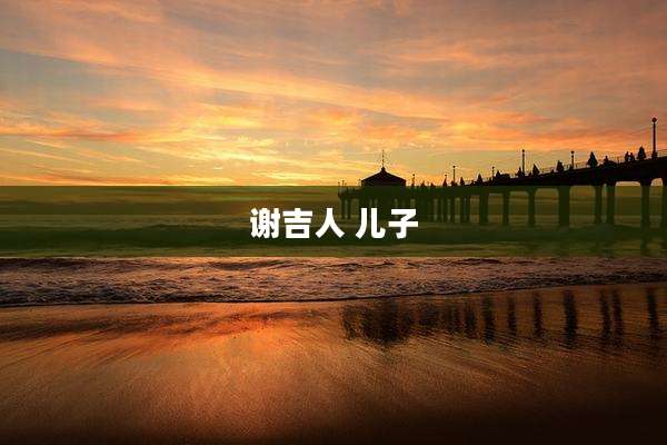 谢吉人 儿子