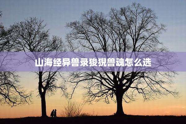 山海经异兽录狻猊兽魂怎么选