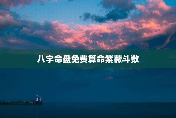 八字命盘免费算命紫薇斗数