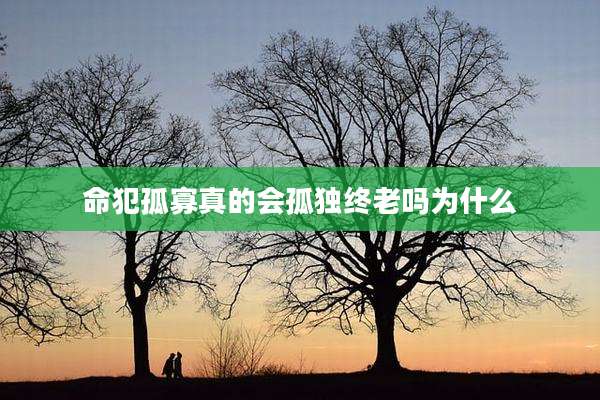 命犯孤寡真的会孤独终老吗为什么