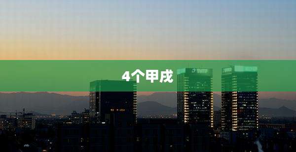 4个甲戌