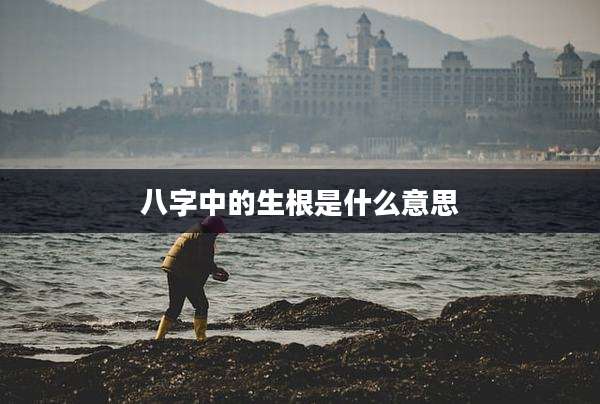 八字中的生根是什么意思