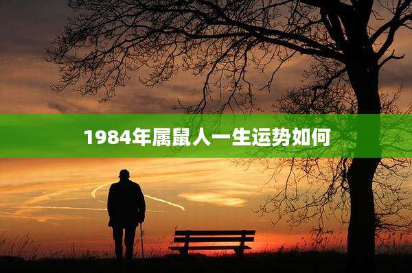 1984年属鼠人一生运势如何
